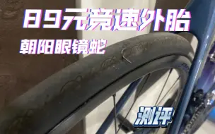 入门竞速无敌性价比！——朝阳 H486 眼镜蛇—外胎测评