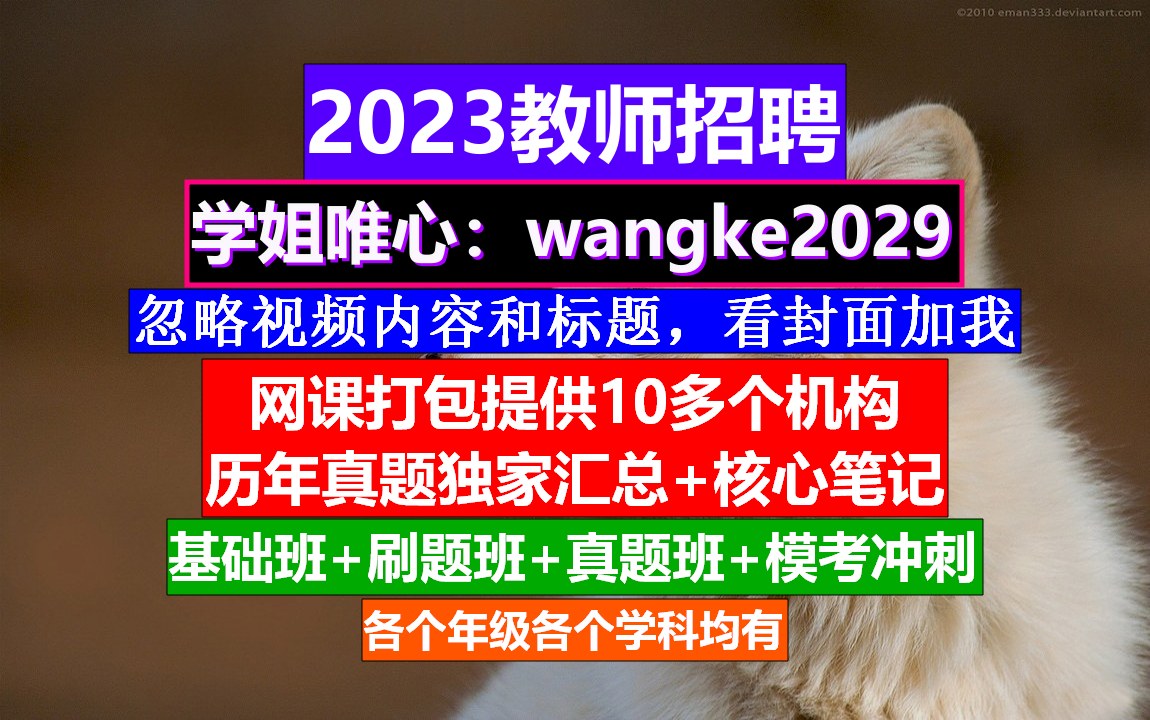 全国教师招聘小初高语文,教师编制培训机构合法,老师应聘条件哔哩哔哩bilibili