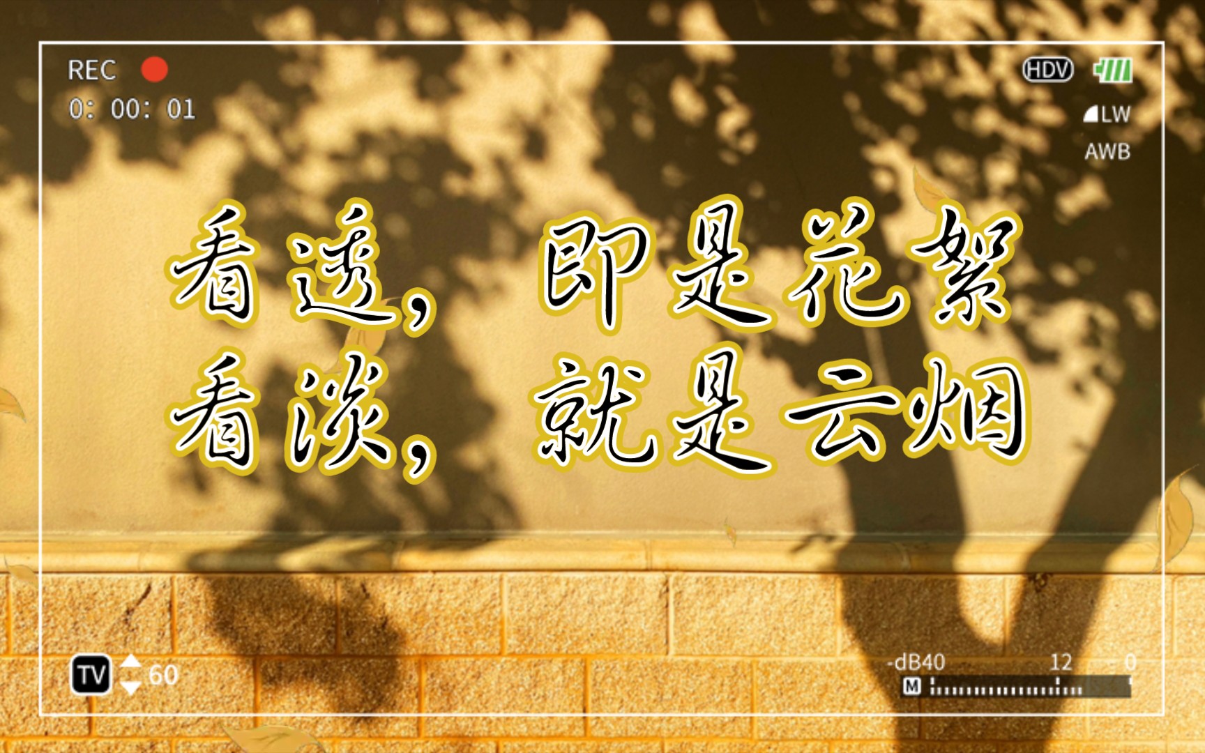 愿你我都有一个好的心态,遇事不慌,做事不乱,安然处世,幸福余生!