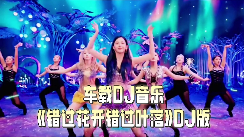 [图]车载DJ音乐《错过花开错过叶落》DJ版