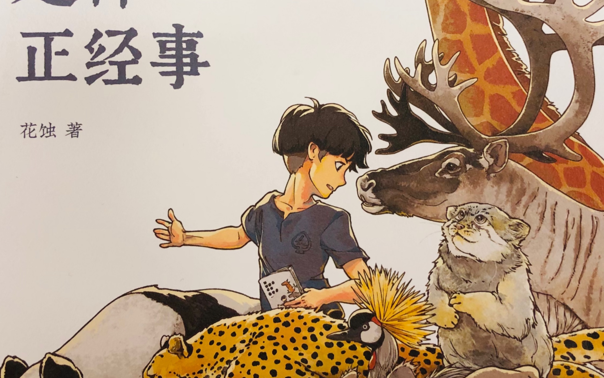 晚安jennifer||《逛动物园是件正经事》,喜欢大自然也是件正经事哦