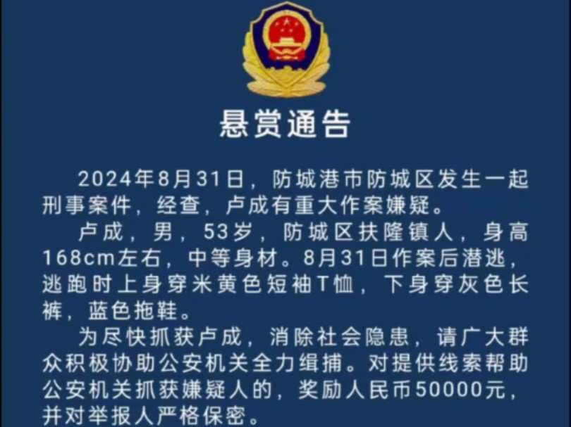 广西防城港发生重大刑事案件,多条人命,警方 悬赏5万通缉,晚上进山搜捕,目前嫌疑人未抓获哔哩哔哩bilibili