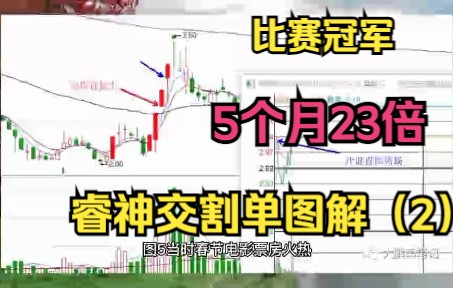 比赛冠军,5个月23倍,(睿神)小睿睿交割单图解(2)哔哩哔哩bilibili