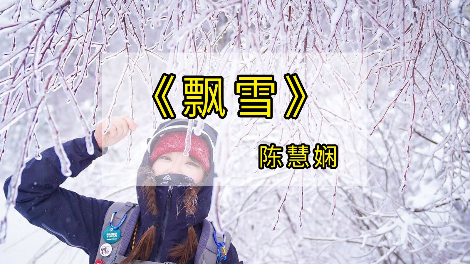 陈慧娴《飘雪》,又见雪飘过 飘于伤心记忆中,让我再想你