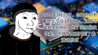 Télécharger la video: 2024年3月15日，你用你的积蓄抢上了i9 14900ks，将防掉压开到了最激进档位……