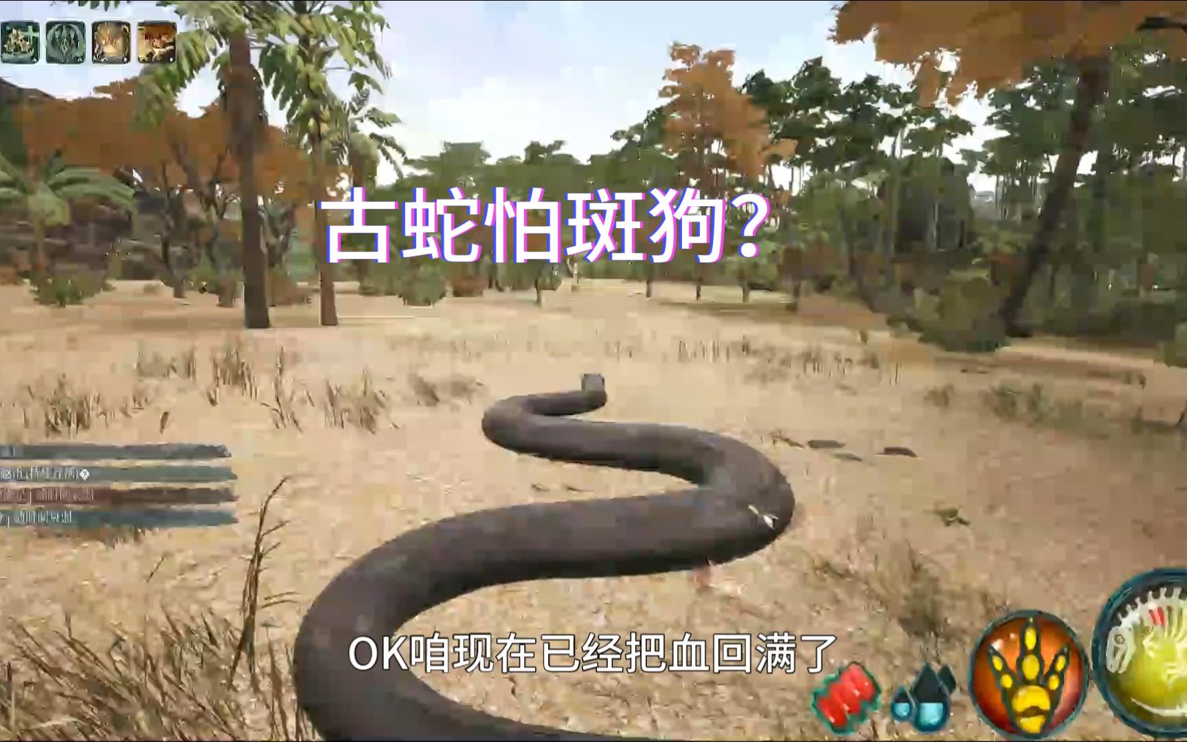 古杯蛇vs斑龙!《beasts of bermuda》百慕大野兽