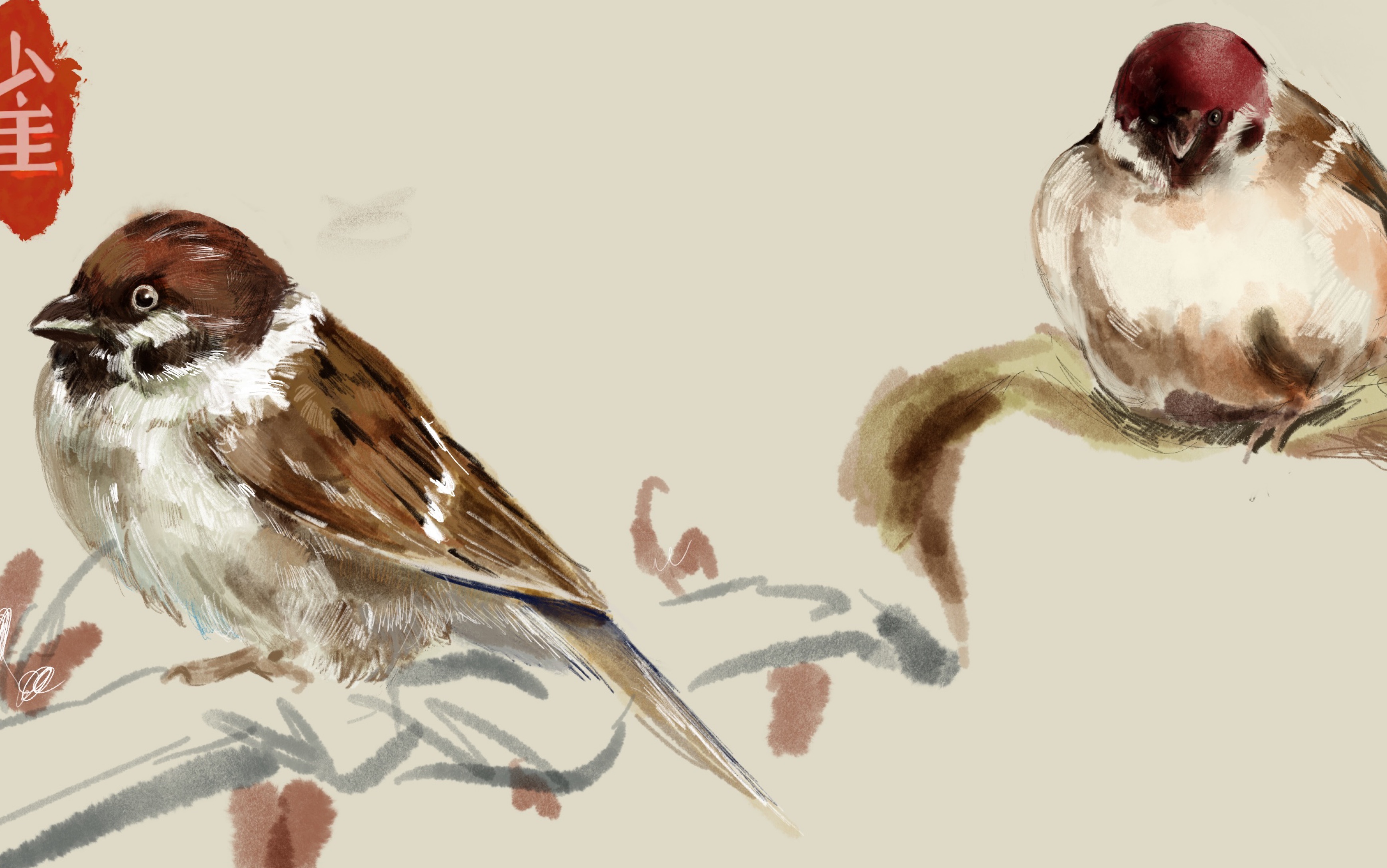 【 procreate 绘画】小麻雀「家雀」的诞生!