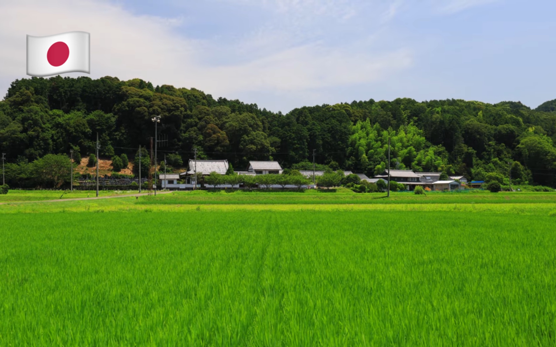 【4K超清】死前想去的日本岐阜县关市的夏日绝景10选哔哩哔哩bilibili