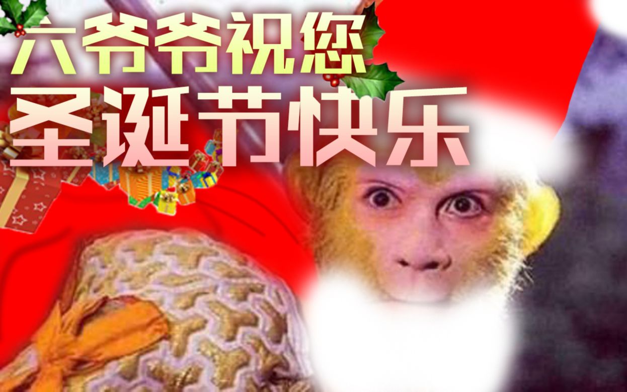 【六小龄童】热唱圣诞金曲 金箍棒(Jingle Bell)【一心翻唱】哔哩哔哩bilibili