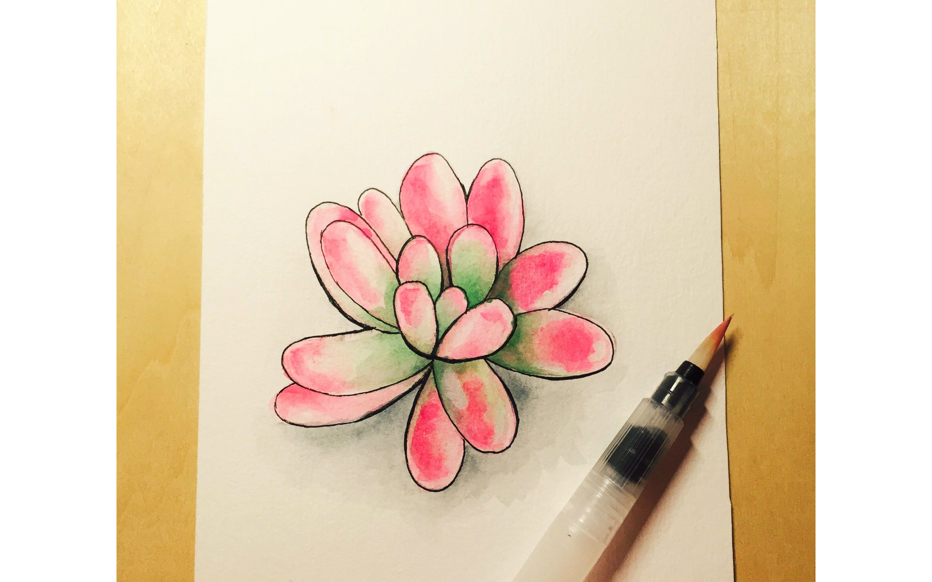 水彩绘多肉——第二弹