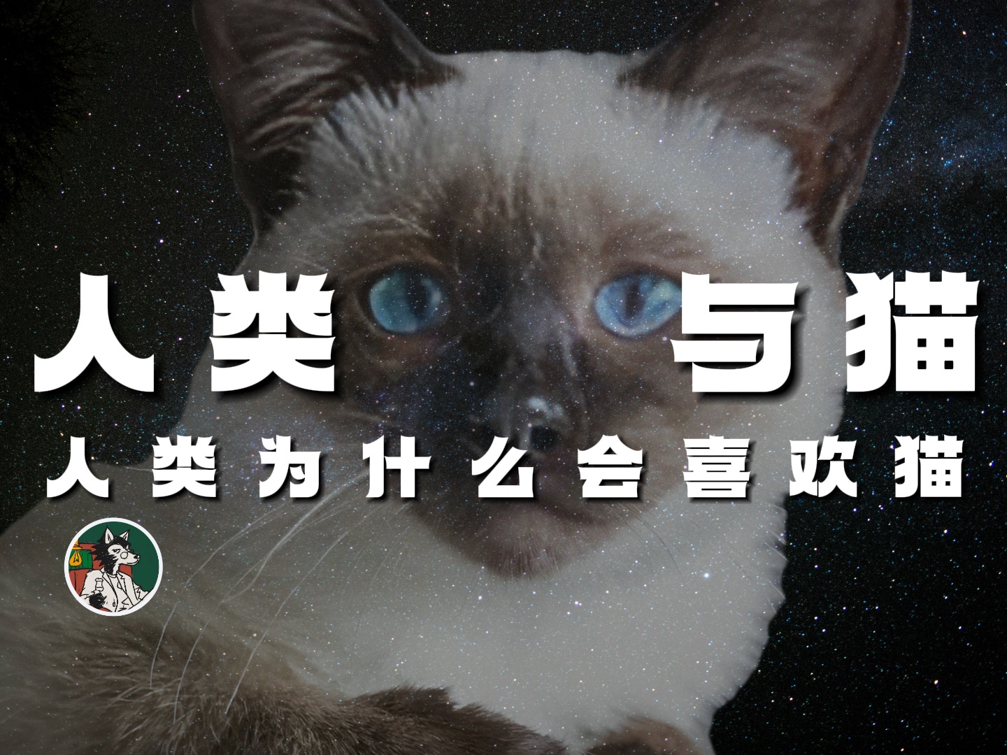 [图]人类为什么会喜欢猫