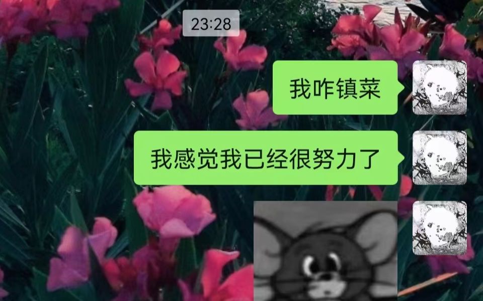 胡文,我不做人了第一视角