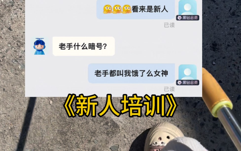 《新人培训》哔哩哔哩bilibili