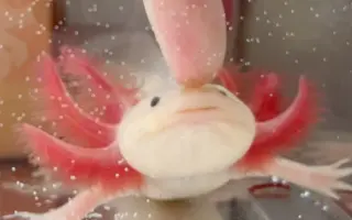 六角篇 搜索结果 哔哩哔哩 Bilibili