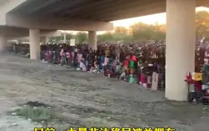 Télécharger la video: 超8千非法移民一夜之间涌入美国，得州州长：美政府处于完全混乱中