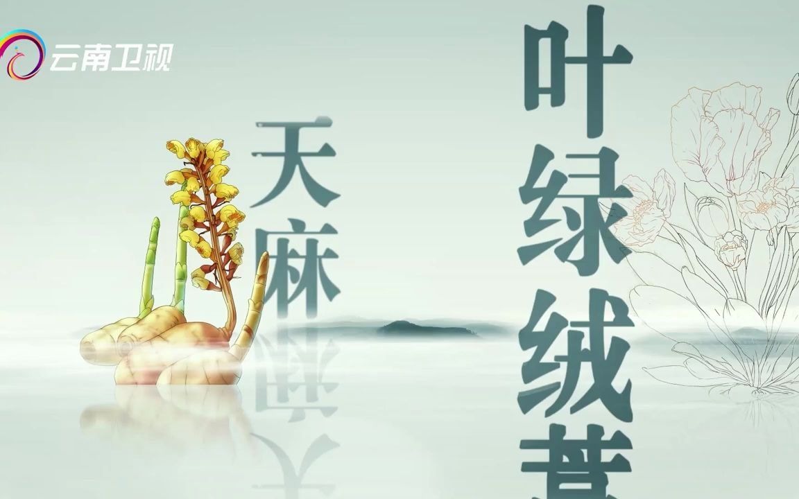 [图]云南这座山被誉为中国的黄金，拥有珍稀的856种药用植物！整座山价值不可估量【滇南本草】