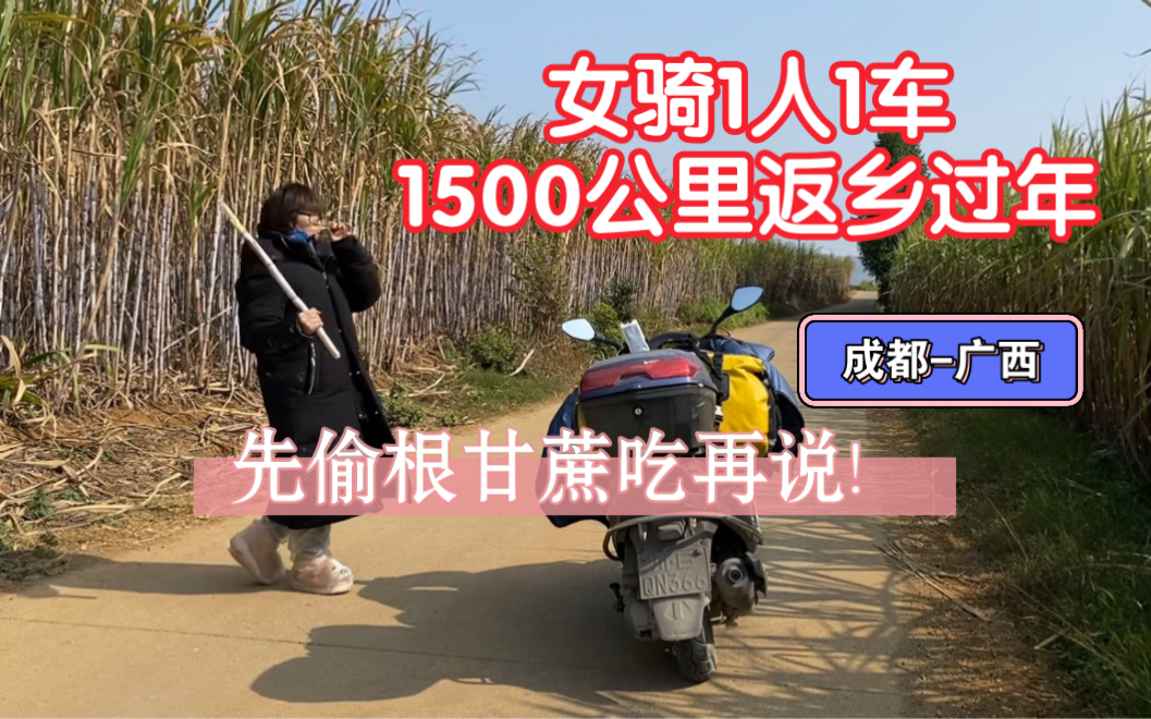 [图]【第5天-usr125小踏板万里走单骑】表妹平安回到广西啦！