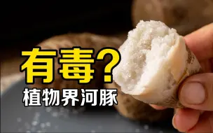 Download Video: 我们常吃的这东西，竟然全身都是毒？【餐桌保命指南】