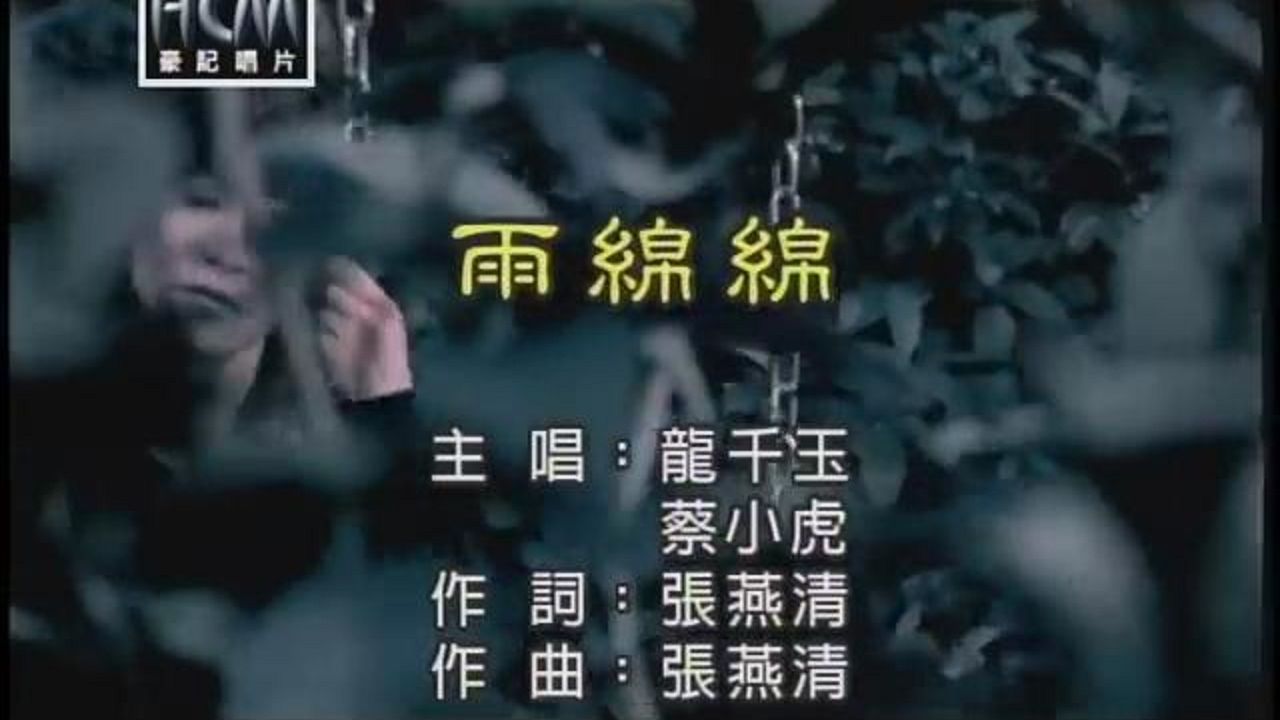 龙千玉VS蔡小虎雨绵绵(KTV导唱字幕)哔哩哔哩bilibili