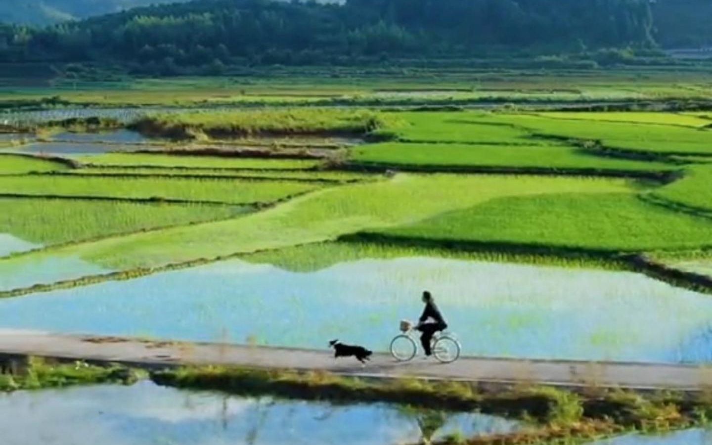 [图]“老家是个很治愈的地方”