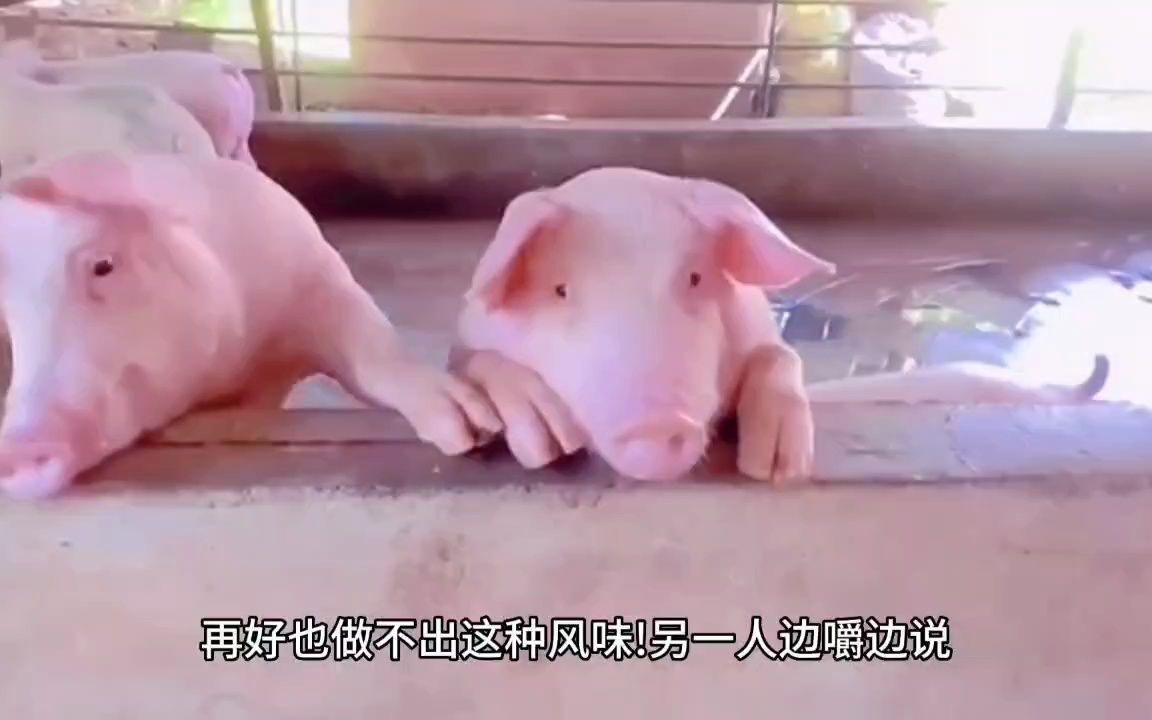 [图]《故事会》河阳猪肉