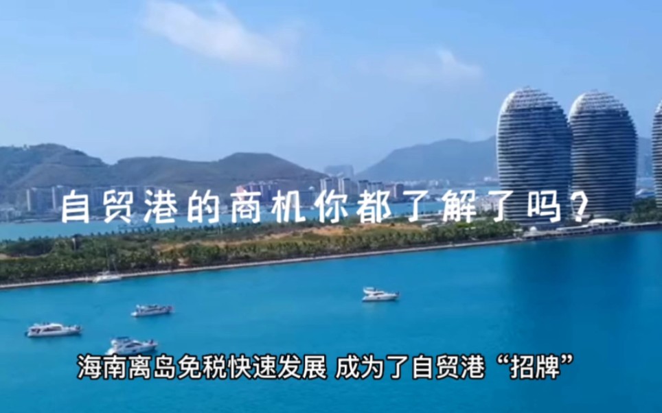 海南自贸港的商机你都了解了吗?哔哩哔哩bilibili