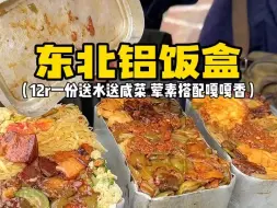 Скачать видео: 东北老式铝盒饭荤素搭配香迷糊了！好喜欢这种简单的幸福呀 磕到了