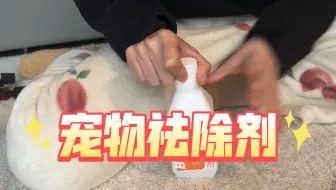 解决小动物乱撒尿，拯救我的地毯！