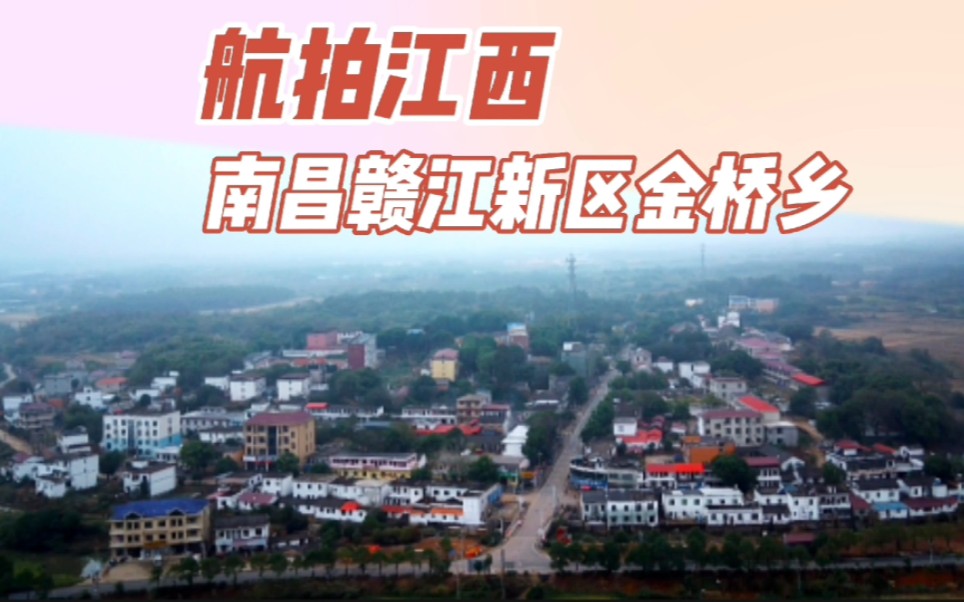 第一篇:航拍江西金桥葡萄之乡乡镇全景