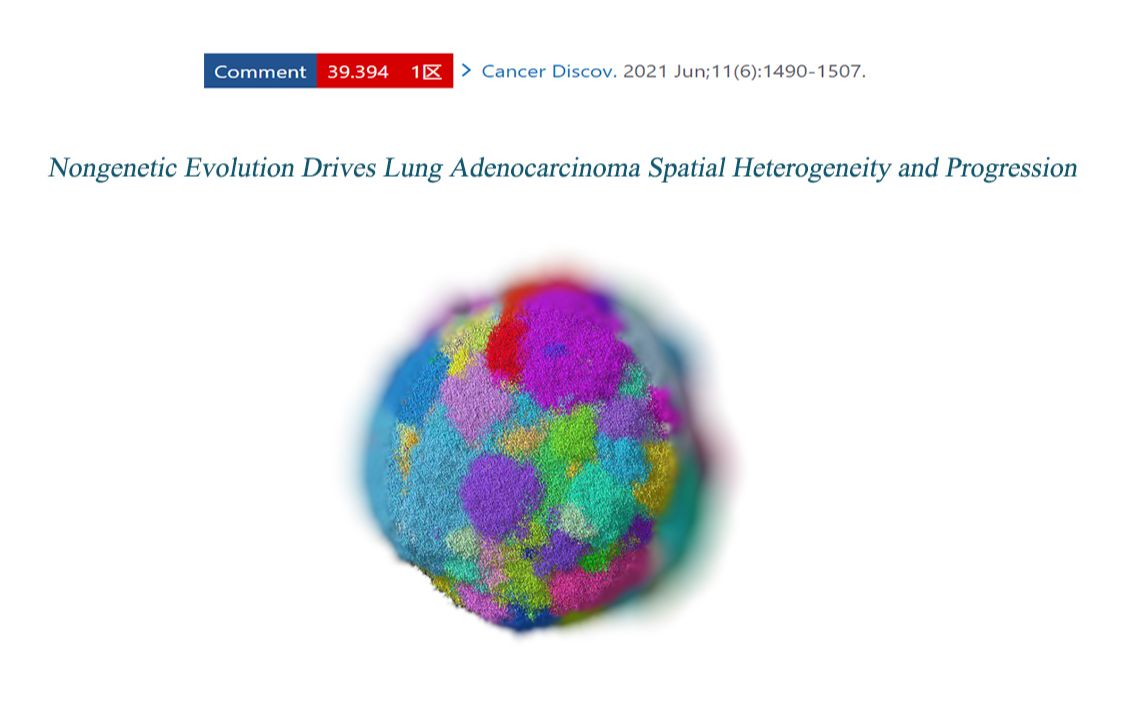 肿瘤空间异质性高分文章深度剖析哔哩哔哩bilibili