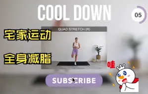 Download Video: 【自用】Eleni Fit（4）无波比跳无纯深蹲无地面动作一小时合集