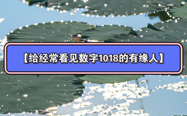 【给经常看见数字1018的有缘人】哔哩哔哩bilibili