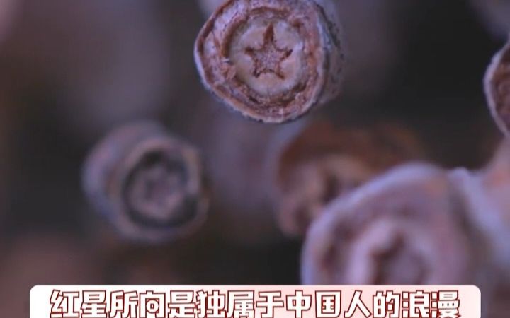 你看,这些枝桠里是不是有什么?有什么?救民于水火的信仰哔哩哔哩bilibili