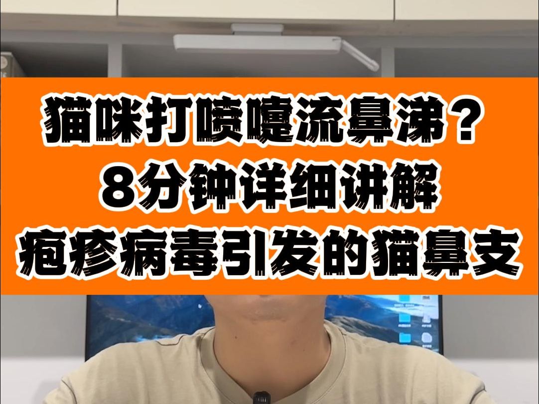 猫打喷嚏流鼻涕怎么回事?详细讲解疱疹病毒引发的猫鼻支哔哩哔哩bilibili