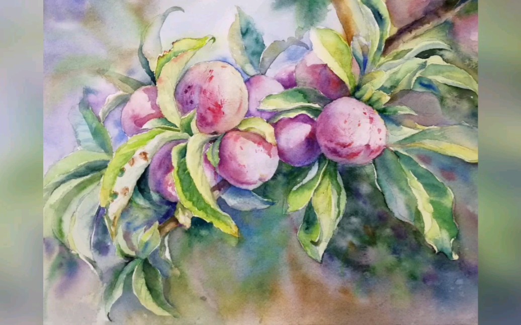 水彩李子的绘画过程_哔哩哔哩_bilibili