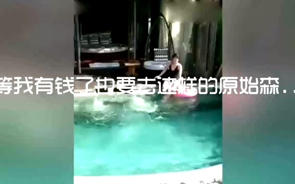 [图]等我有钱了也要去这样的原始森林旅馆住几晚