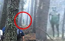 [图]5 SCARY CREATURES IN FOREST CAUGHT ON CAMERA & SPOTTED IN REAL LIFE!