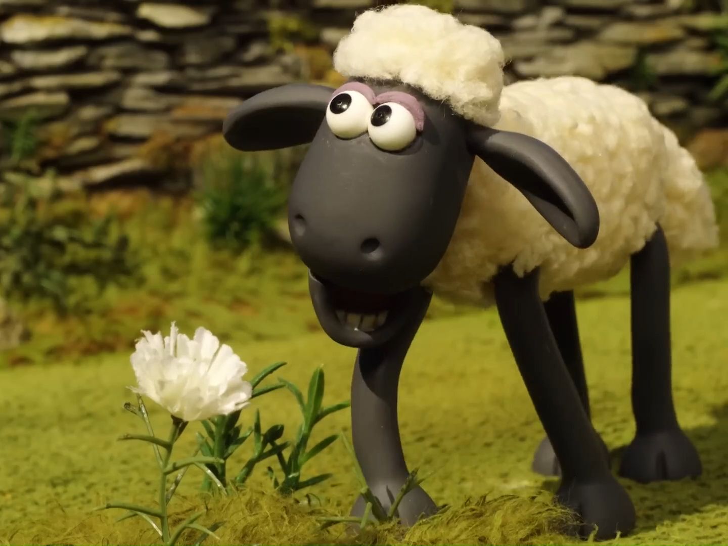 小羊肖恩第五季Shaun the Sheep卡通动画电影欧美经典动画可爱小羊治愈动画Episodes1115哔哩哔哩bilibili