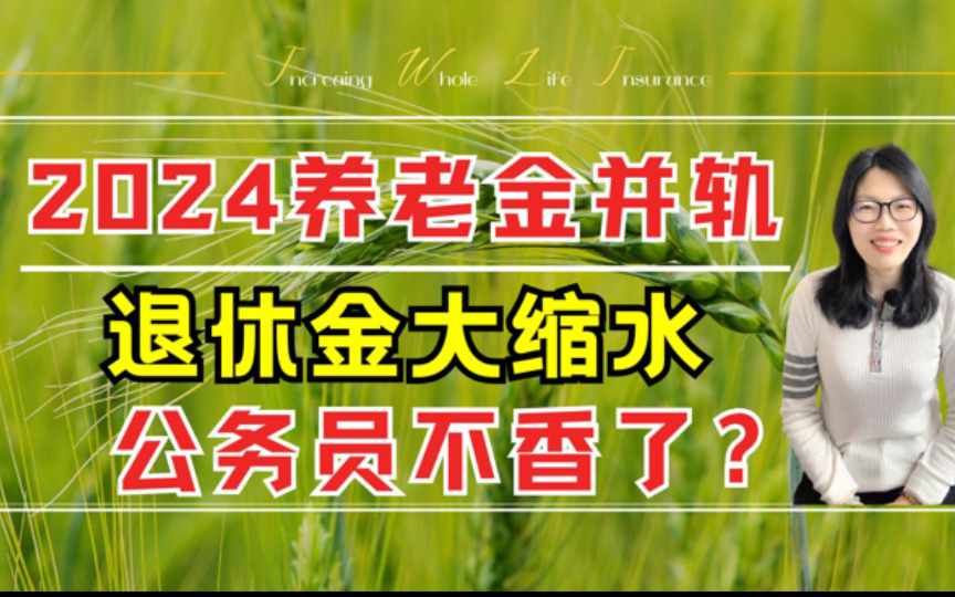 2024年养老金并轨,退休金大缩水!公务不香了?哔哩哔哩bilibili