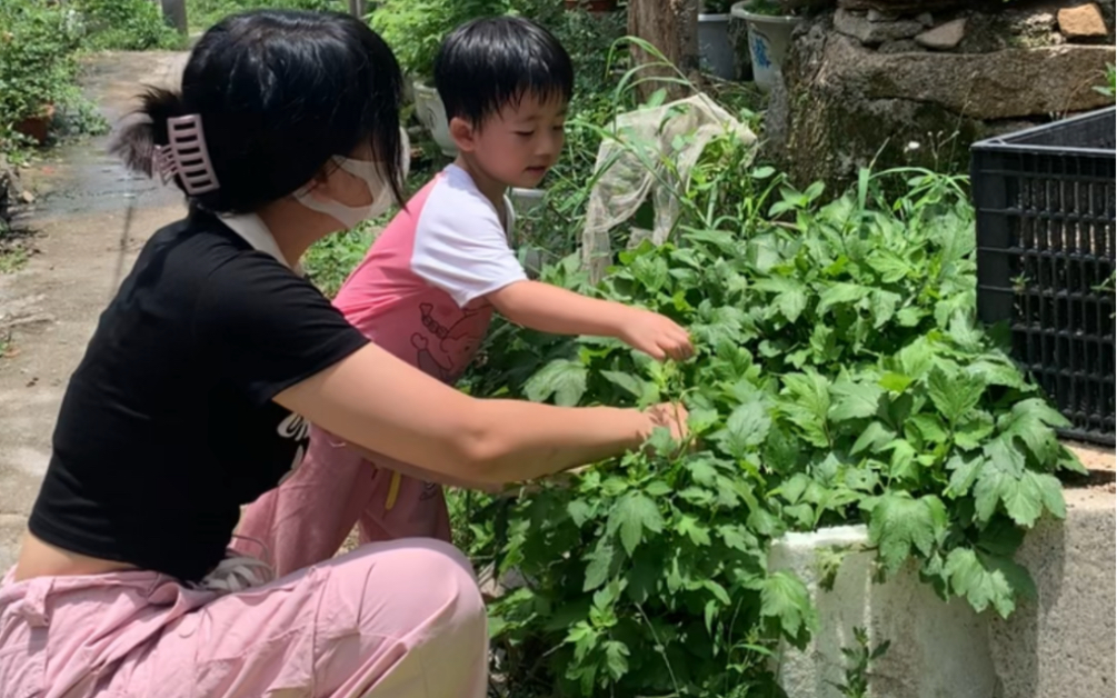 简单的一碗珍珠菜猪肝汤,是多少潮汕人的回忆哔哩哔哩bilibili