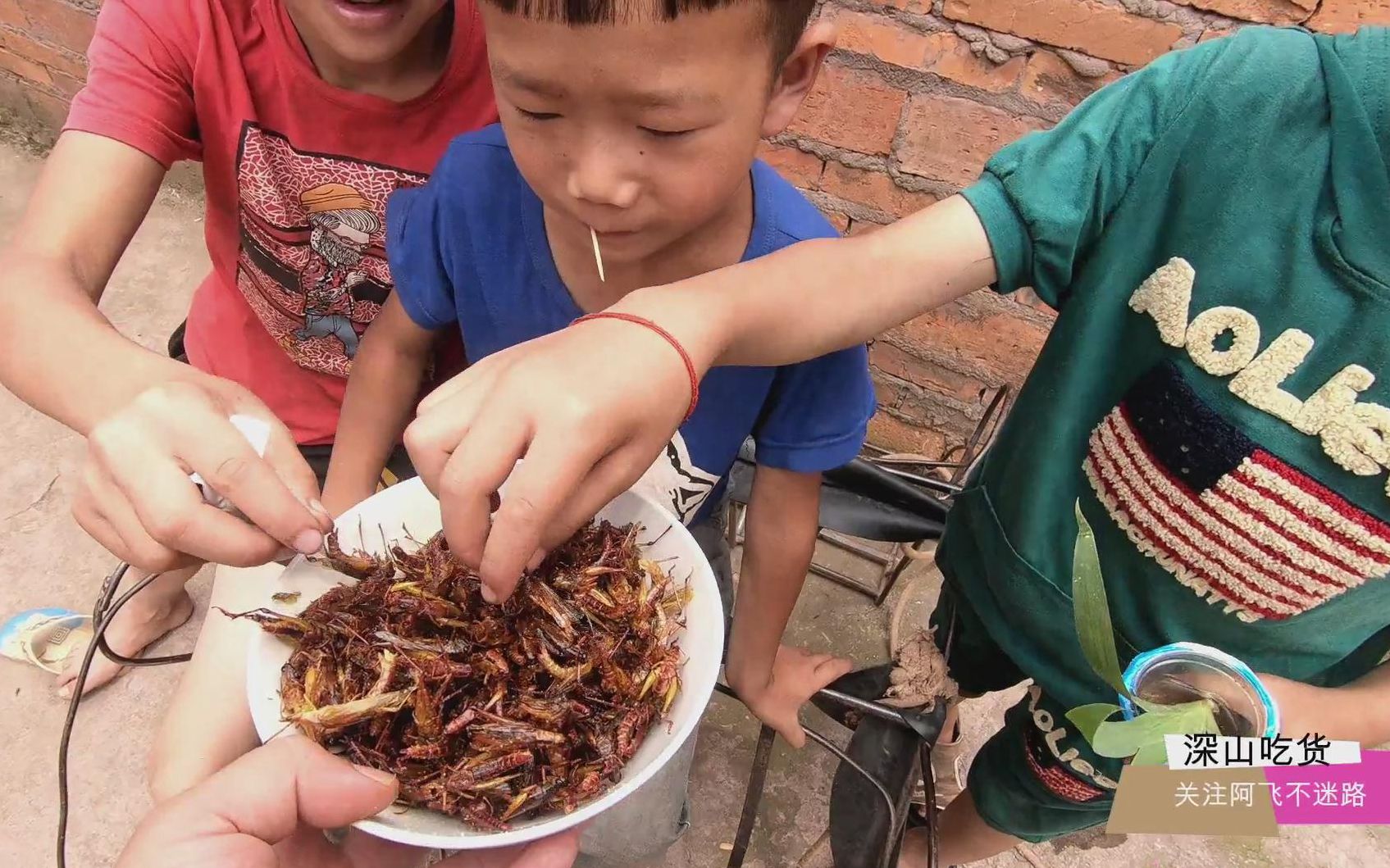 云南人喜欢吃虫子,现抓现吃超级好吃,不信你看小朋友的表情