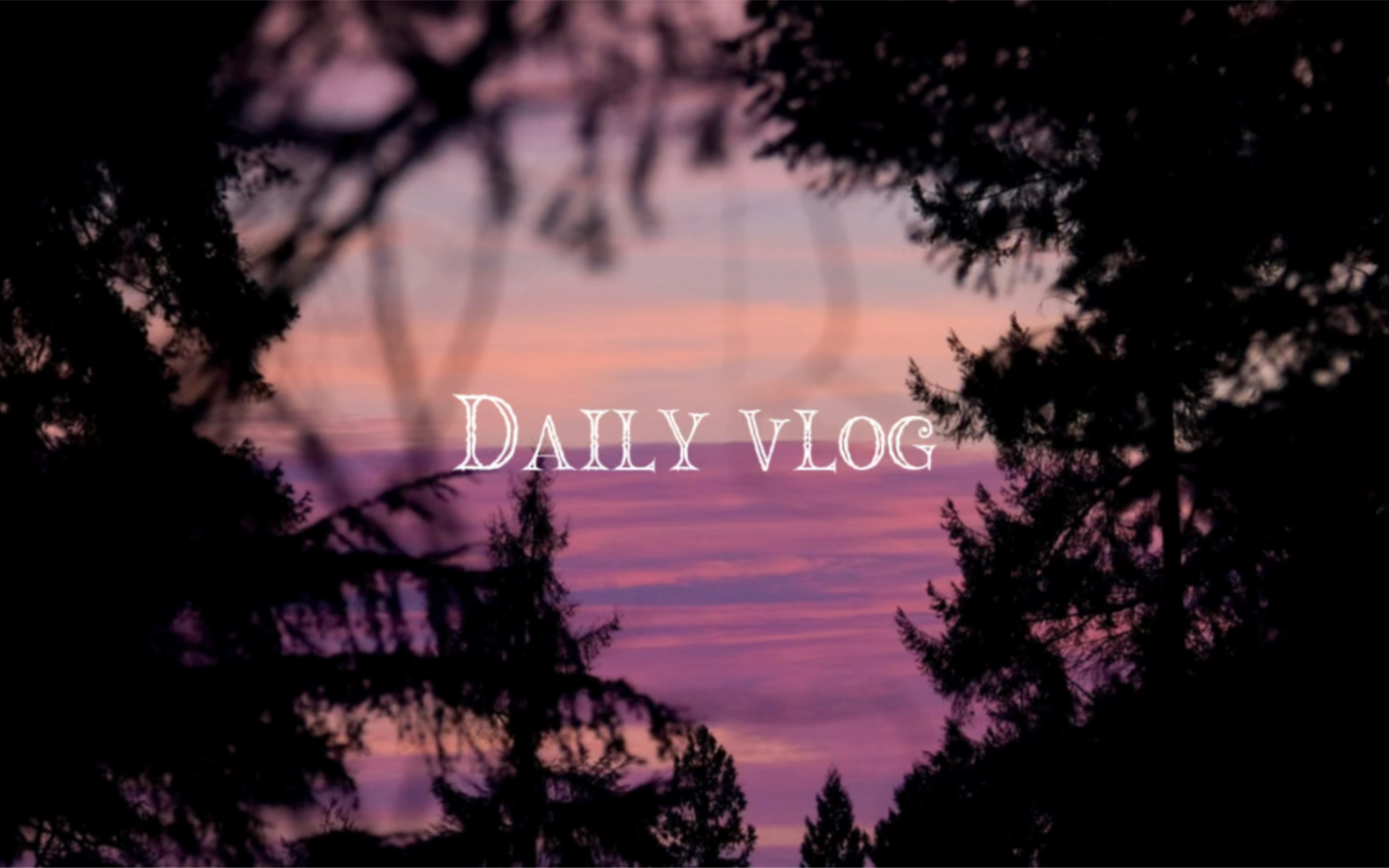 Daily vlog|Capilano|吊桥公园打卡:)哔哩哔哩bilibili