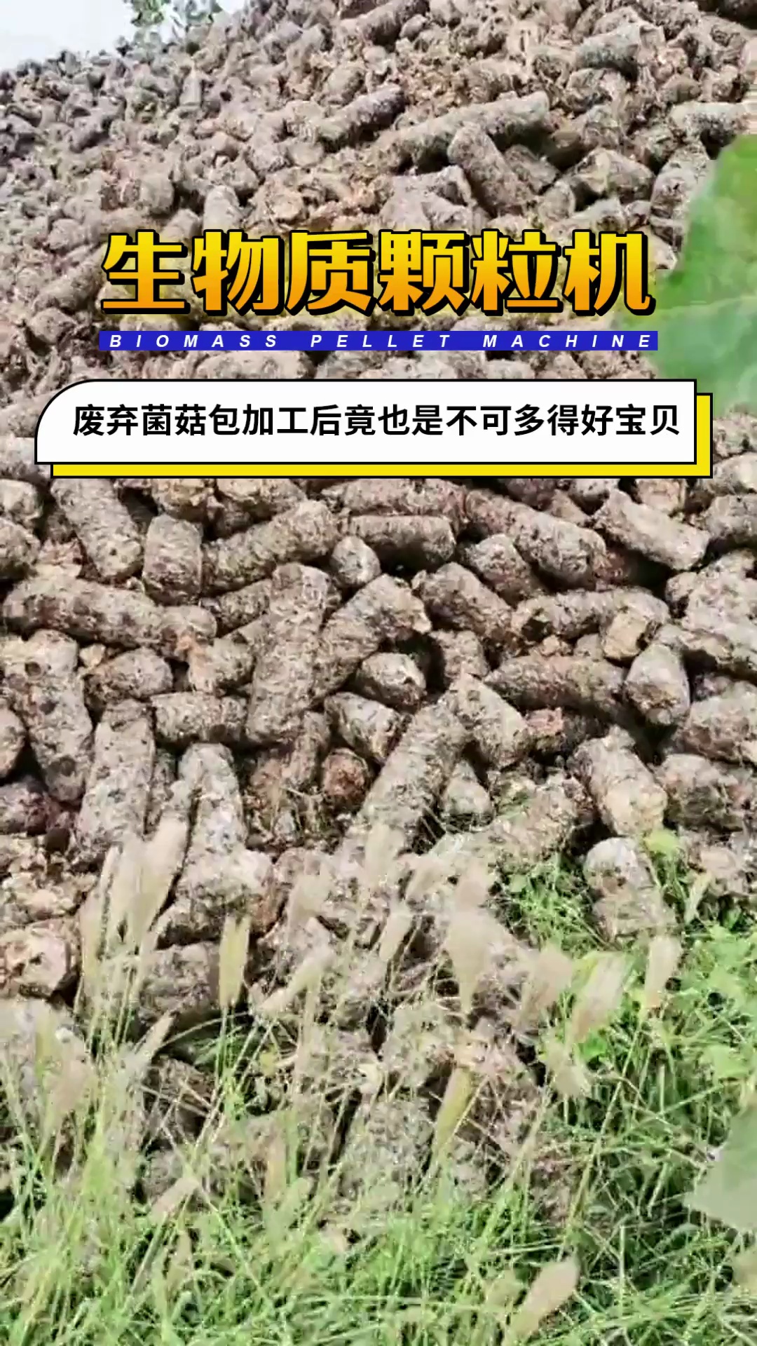 谁知道废弃的菌菇料包还有这作用?确实是惊讶哔哩哔哩bilibili