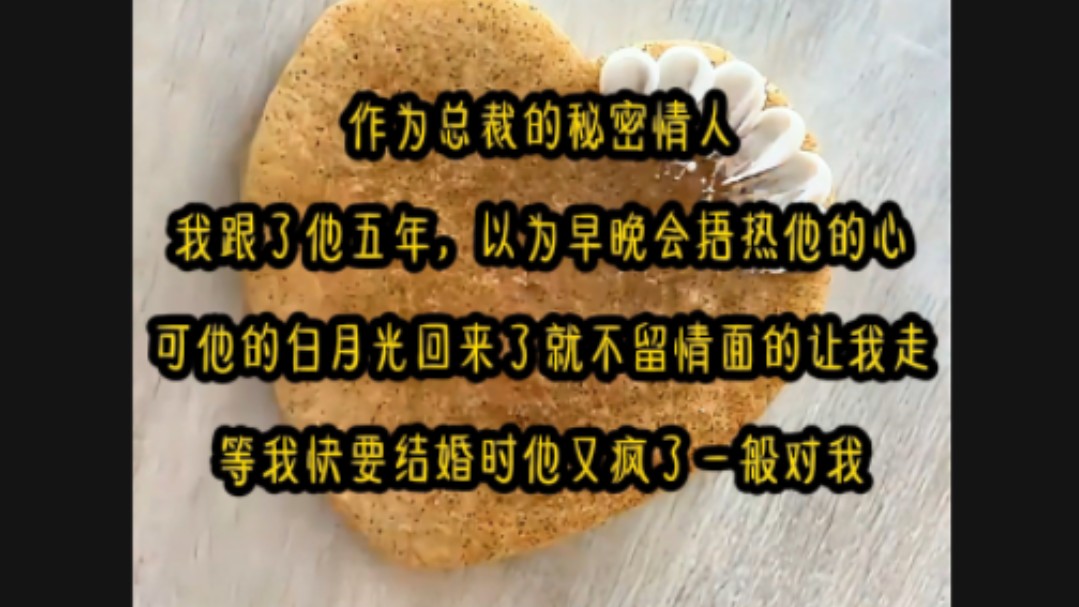 我是总裁的白月光替身,在跟了他五年后,他的白月光回来了,我跟他的替身合同提前结束.一夜疯狂后,他见我醒来,寒冷的眸子冷冷的看了我一眼:以...