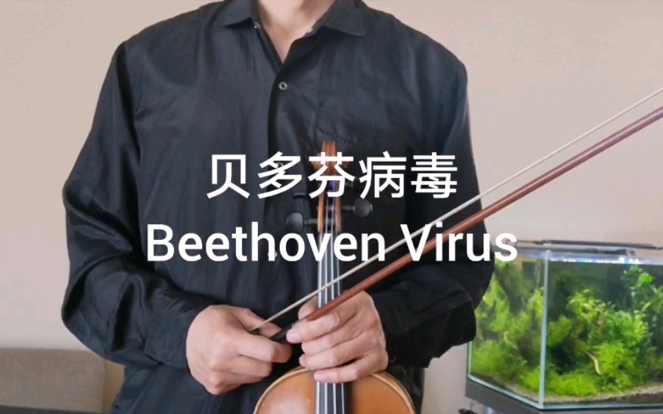 贝多芬病毒(Beethoven Virus)哔哩哔哩bilibili