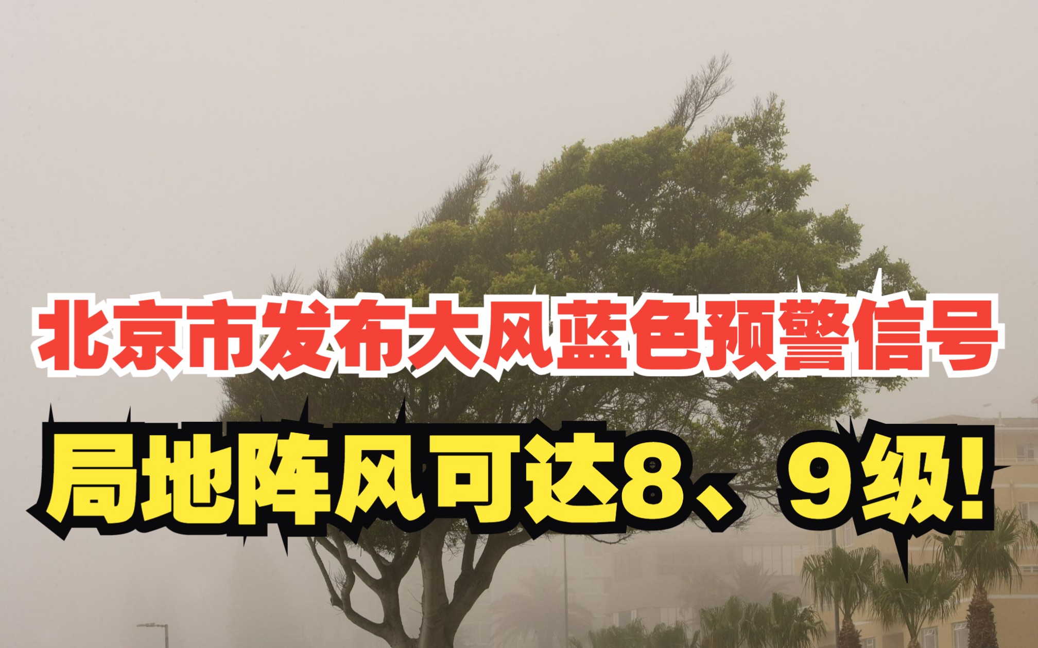 北京市发布大风蓝色预警信号 局地阵风可达8、9级!哔哩哔哩bilibili