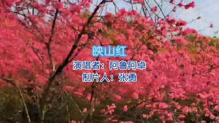 《映山红》演唱 阿鲁阿卓 视频制作 张勇哔哩哔哩bilibili