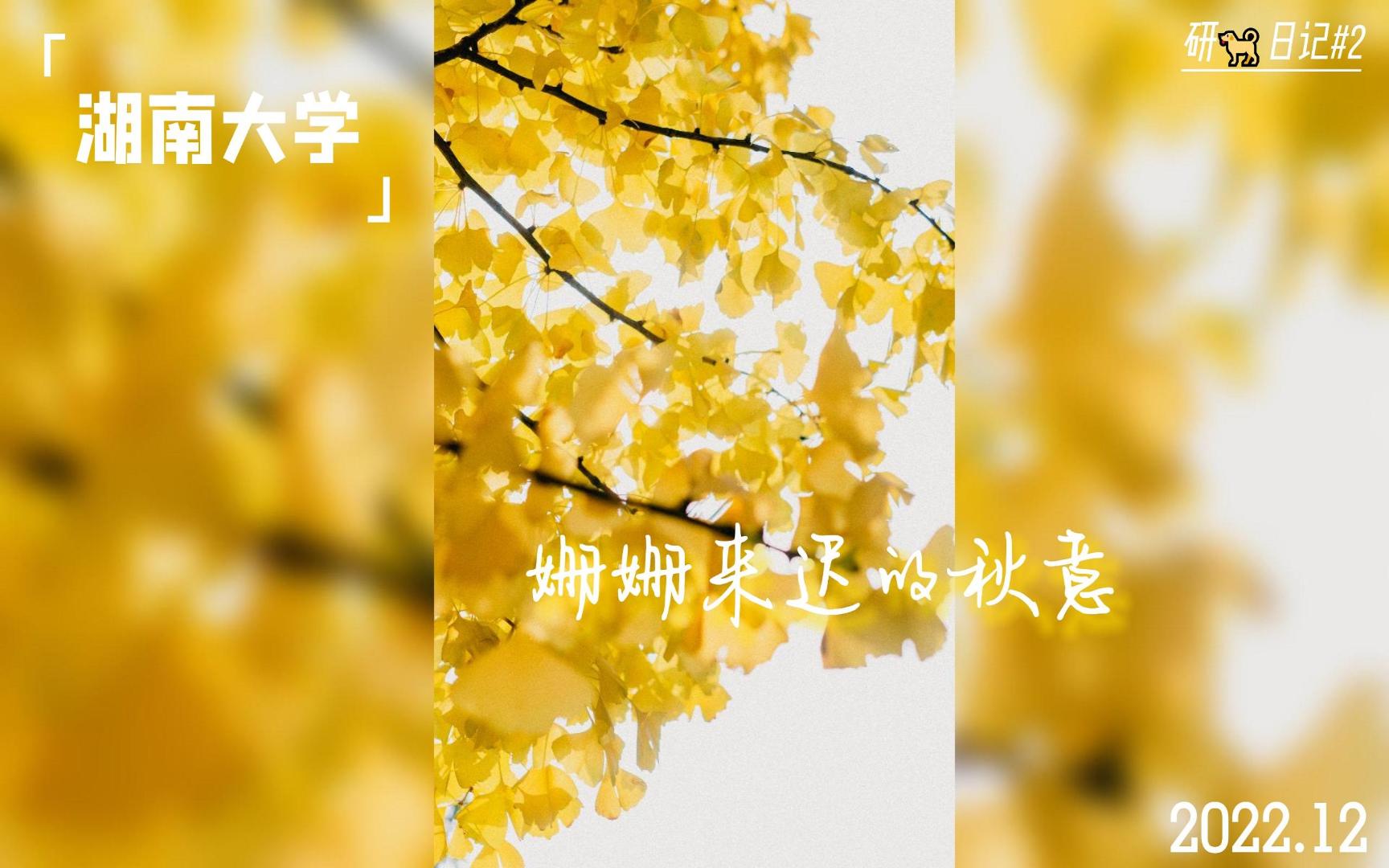 湖南大学2022年秋景记录哔哩哔哩bilibili