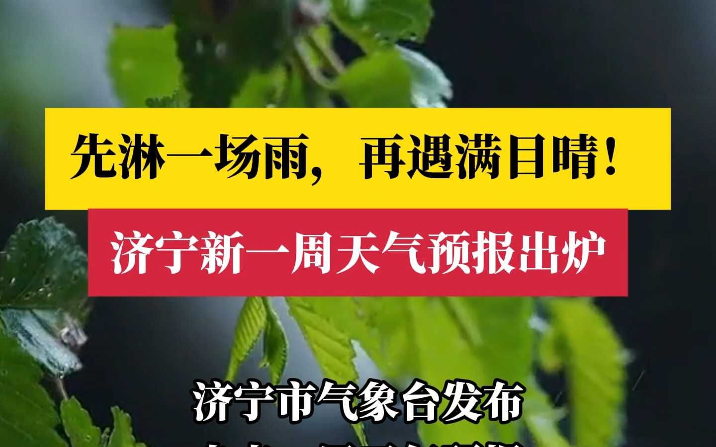 济宁小时天气预报