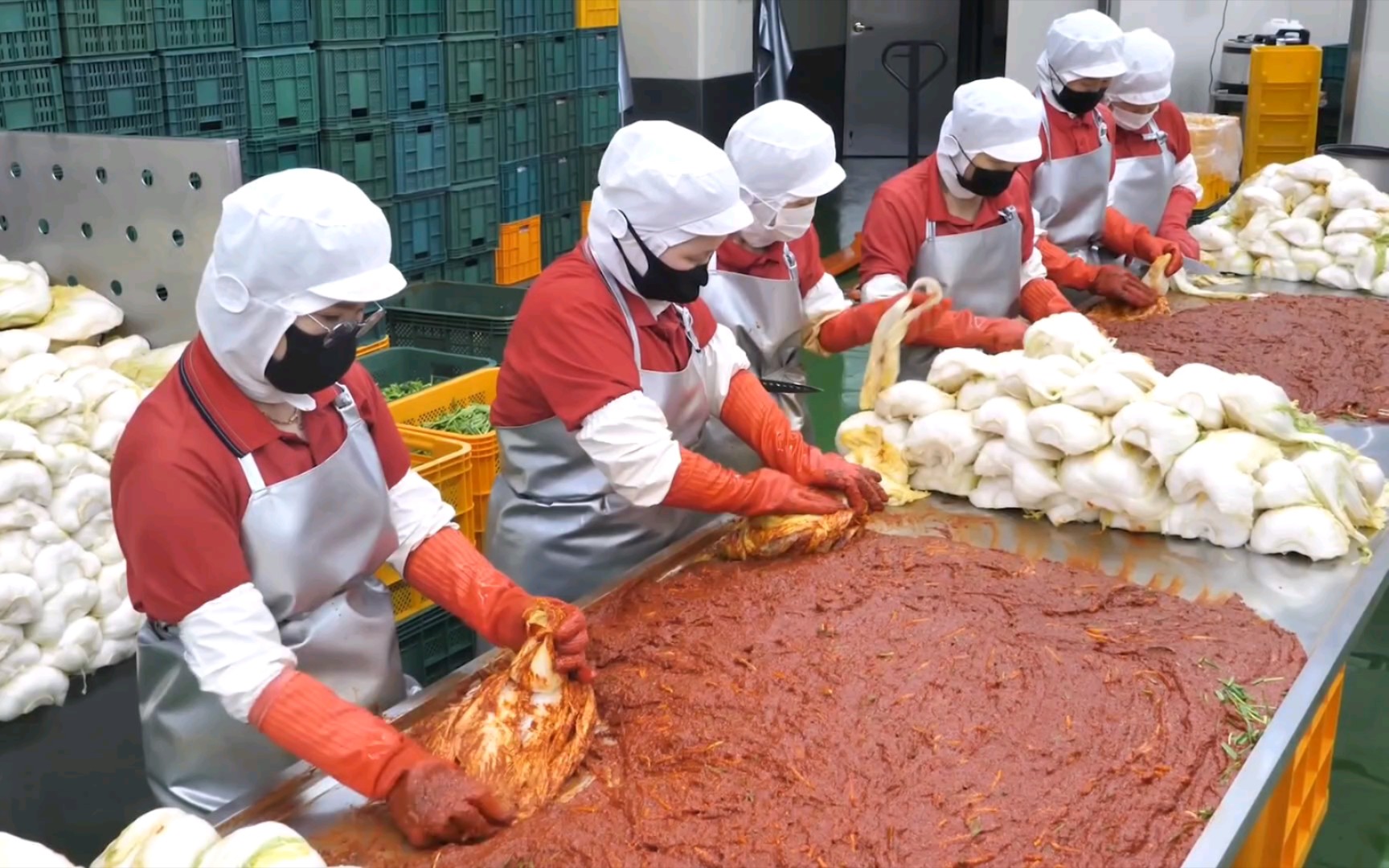 参观韩国本地辣白菜生产厂制作流程